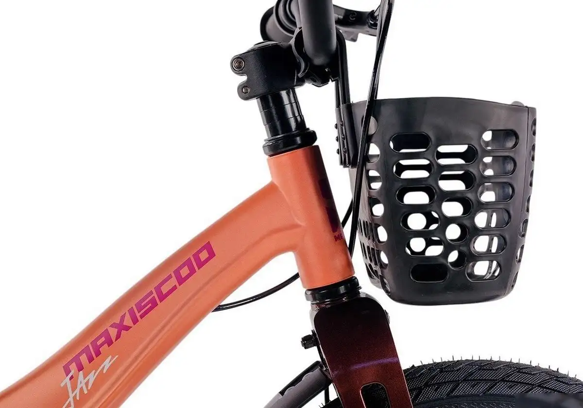 Детский велосипед Maxiscoo Jazz Pro 16 2025 MSC-J1641P (пудра, разобранный) – фото товара