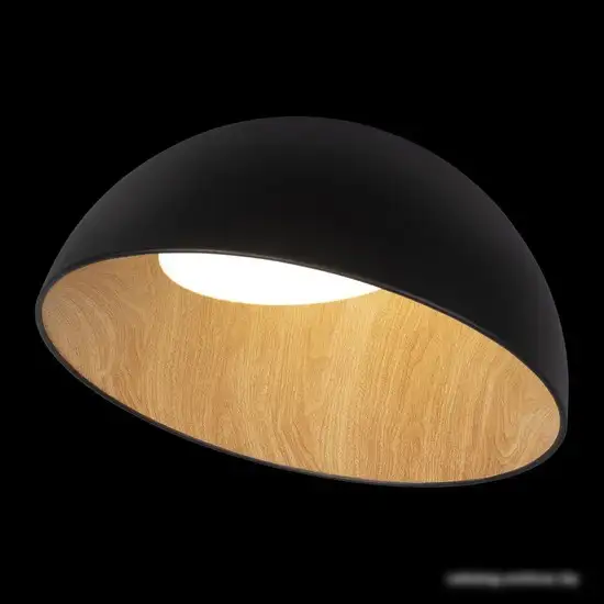 Люстра средней высоты LOFT IT Egg 10197/500 – фото товара