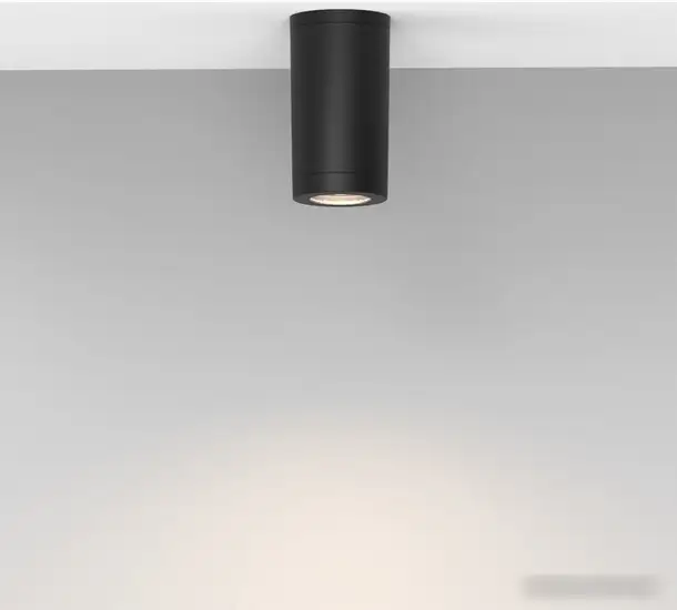 Припотолочная люстра Escada 30008P/01 (черный) – фото товара