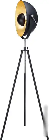 Торшер Lussole Loft LSP-9824