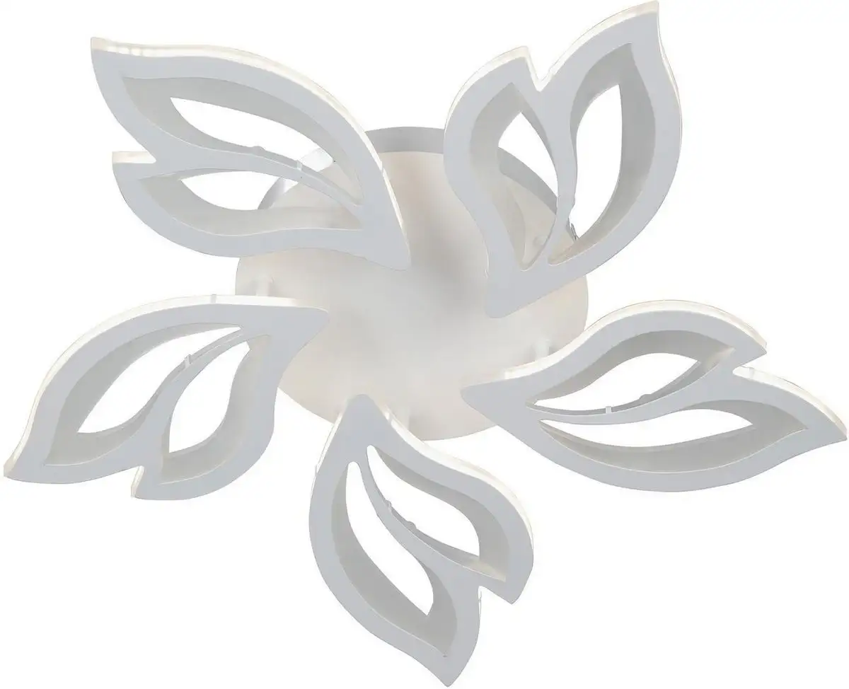 Vitaluce V3893-0/5PL – фото товара