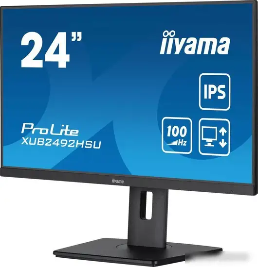 Монитор Iiyama ProLite XUB2492HSU-B6 – фото товара