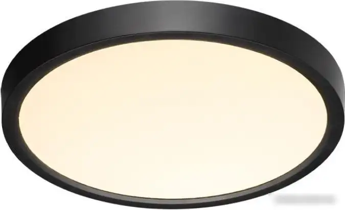 Светильник-тарелка Sonex Alfa Black 7660/18L – фото товара