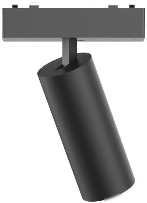 Трековый светильник Aployt Magnetic Track 48 APL.0113.00.09 – фото товара