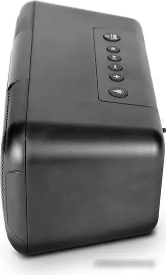 Беспроводная колонка Microlab BP11 – фото товара