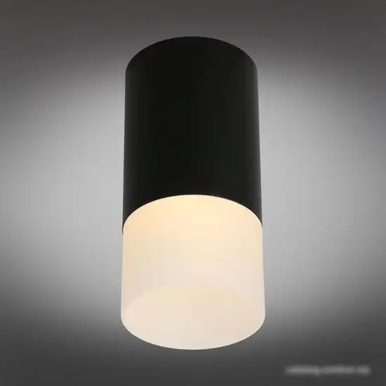 Точечный светильник Omnilux Lucido OML-100619-01 – фото товара