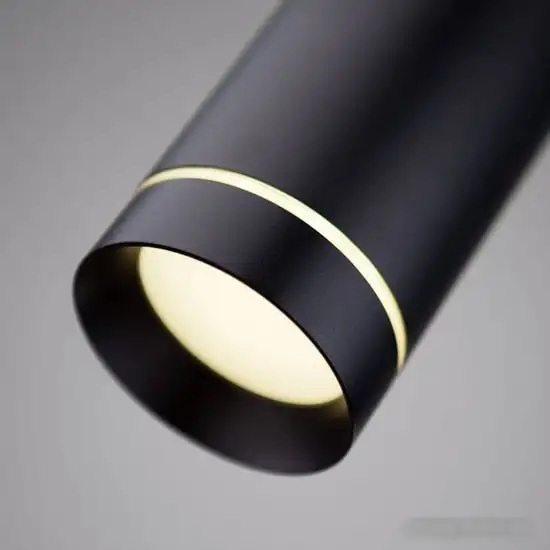 Подвесная люстра Elektrostandard DLR023 12W 4200K черный матовый 4690389119729 – фото товара