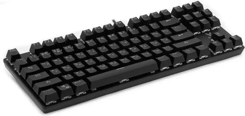 Клавиатура Rapoo V500Pro-87 (черный) – фото товара