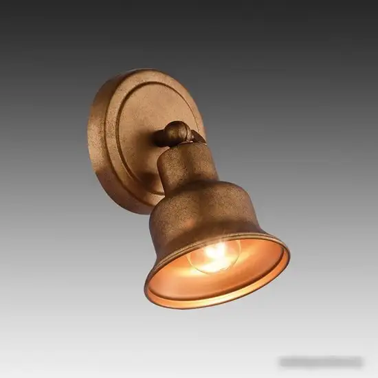 Спот Favourite Clochette 2024-1W – фото товара