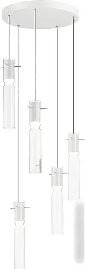 Подвесная люстра Odeon Light Scrow 5058/25LB – фото товара