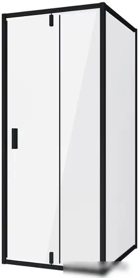 Душевая дверь Niagara NG-42-10AG 100x190 - фото товара