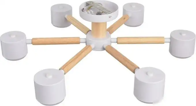 Припотолочная люстра Lumion Vudi 8306/6C – фото товара