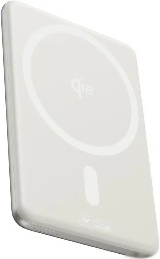 Внешний аккумулятор Baseus PicoGo AM31 Mini Magnetic Power Bank with Stand 20W 5000mAh (титановый) – фото товара