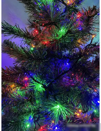 Удлинитель для гирлянд ЭРА ERABL-L100/S20 – фото товара