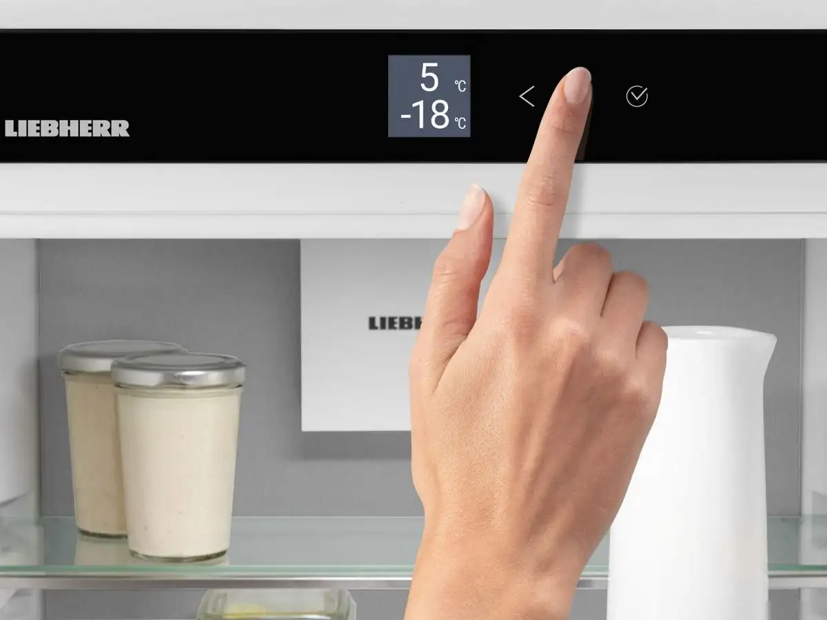 Холодильник Liebherr ICBNSd 5623 Plus BioFresh NoFrost - фото товара
