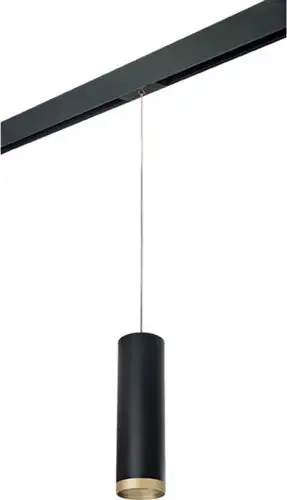 Трековый светильник Lightstar Rullo PRORP649790 – изображение в каталоге