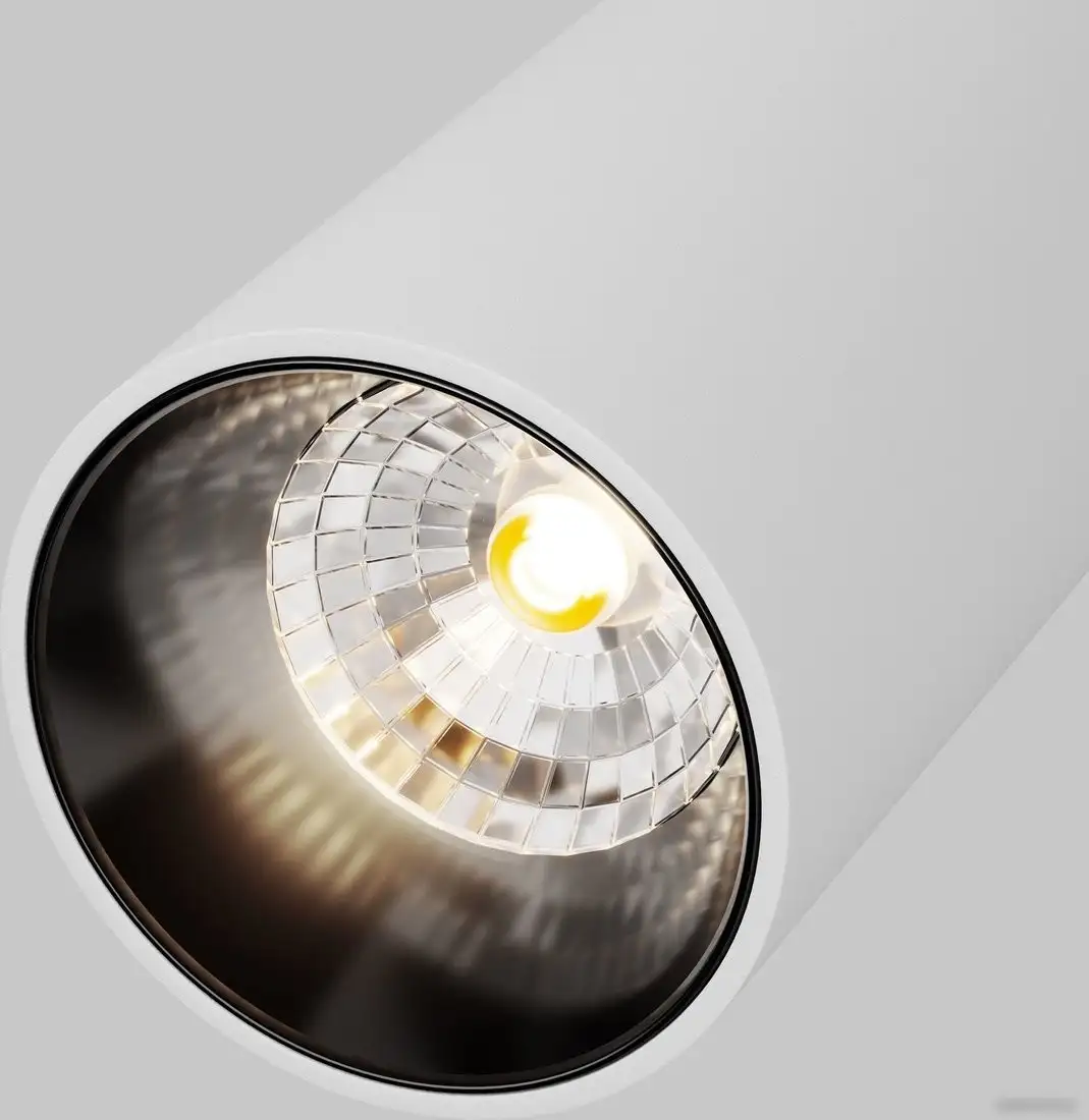 Трековый светильник Maytoni Radity Focus LED TR103-1-12W4K-M-W – фото товара