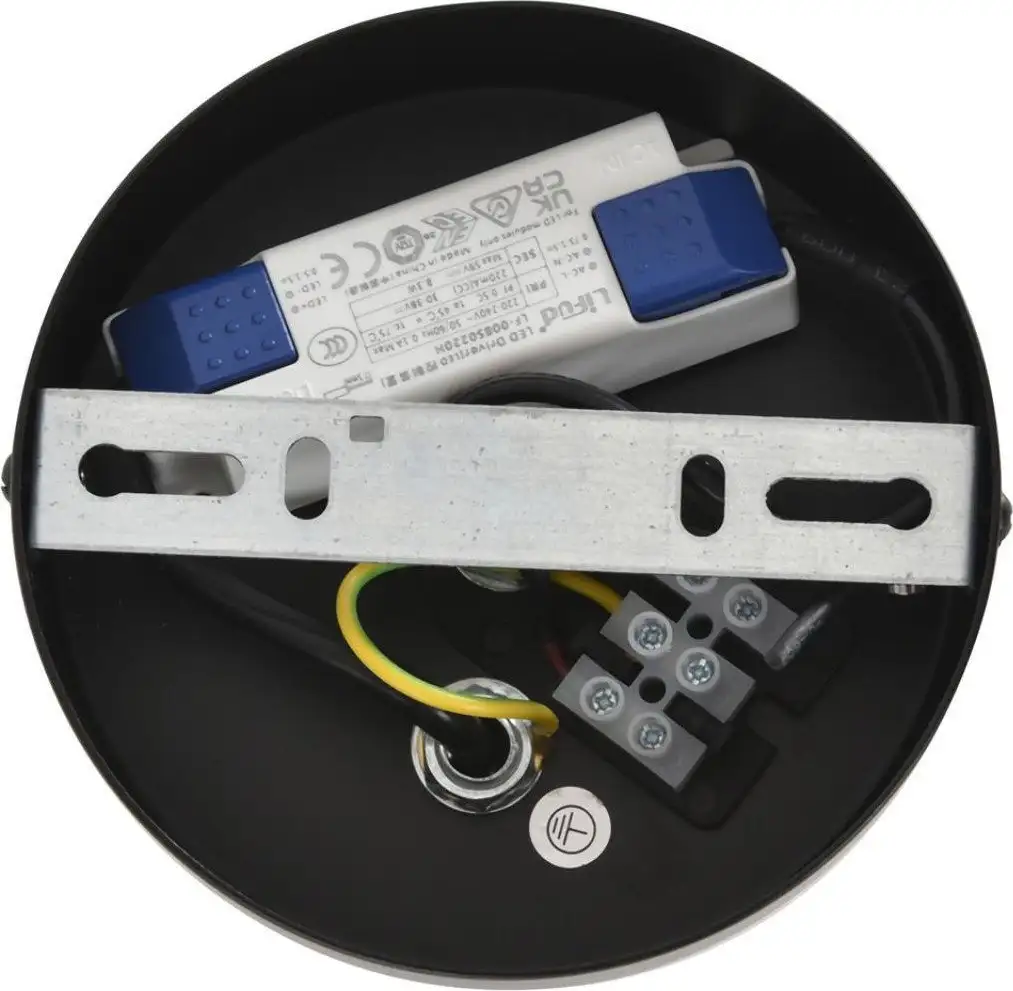 Подвесная люстра Lumion Camomile 8379/10L – фото товара