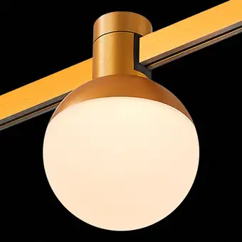 Трековый светильник ST Luce Farm ST815.206.05 – изображение в каталоге