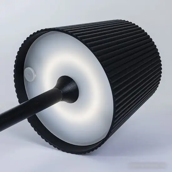 Настольная лампа Arte Lamp Fuyue A1616LT-1BK – фото товара