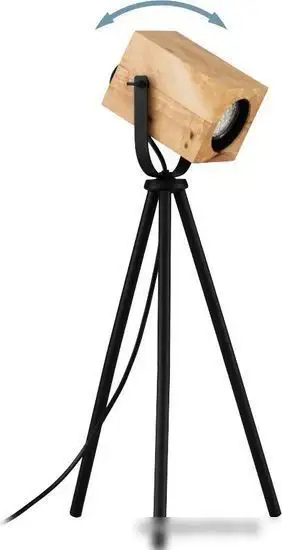 Настольная лампа Eglo Ayles 43749