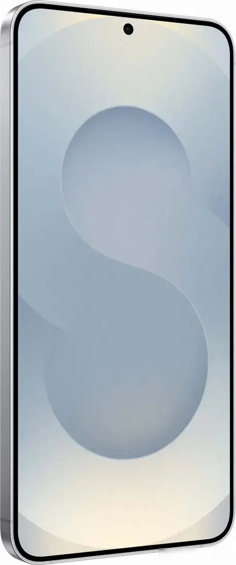 Samsung Galaxy S25+ SM-S936B 12GB/256GB (серый) – фото товара