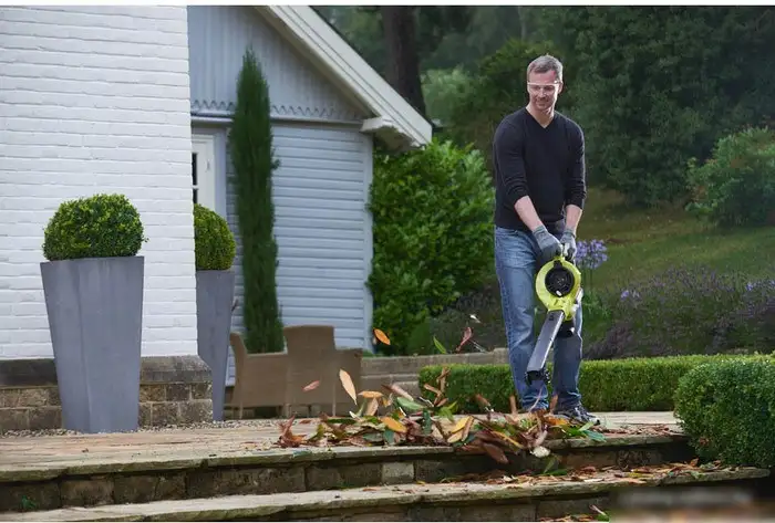 Ручная воздуходувка Ryobi RBV36B [5133002524] – фото товара