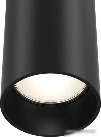 Подвесная люстра Maytoni TR025-1-GU10-B TR025-1-GU10-B – фото товара