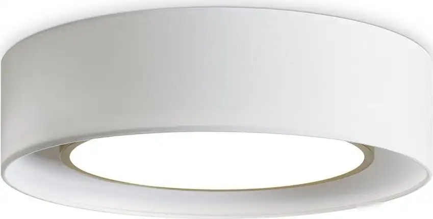 Припотолочная люстра Freya Cozy FR6170CL-L52BS – фото товара