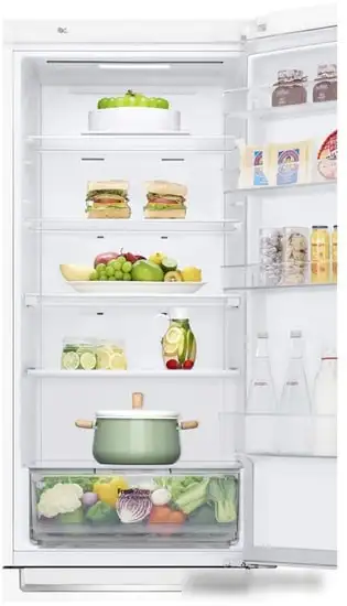 Холодильник LG GA-B509SQKL - фото товара