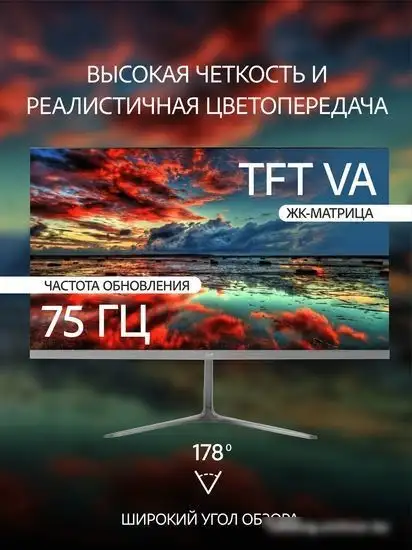 Монитор Leff 24FV100 – фото товара