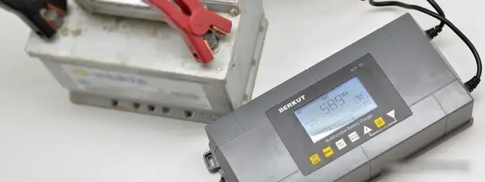 Зарядное устройство Беркут BCA-25 – фото товара