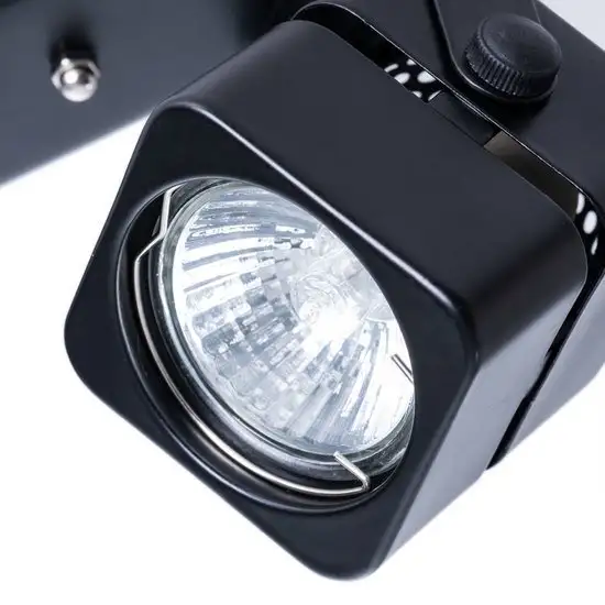 Спот Arte Lamp Misam A1315PL-2BK – фото товара