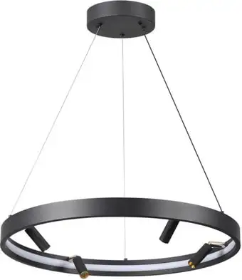 Подвесная люстра Odeon Light Fonda 4317/58L – изображение в каталоге