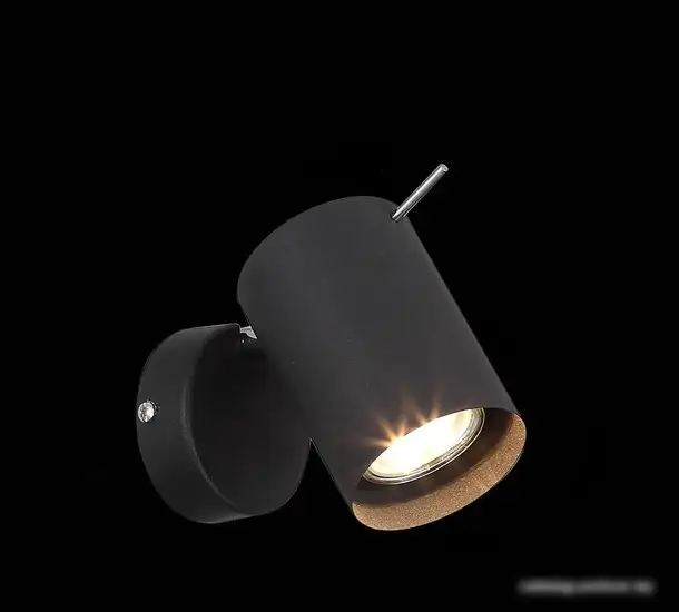 Спот ST Luce Fanale SL597.401.01 – фото товара
