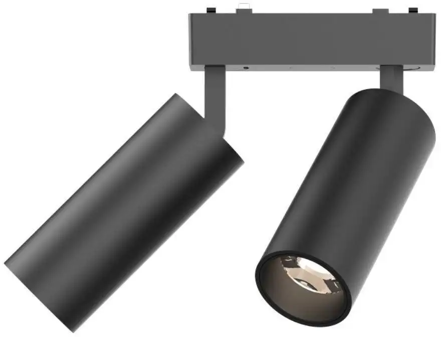 Трековый светильник Aployt Magnetic Track 48 APL.0113.00.18 – фото товара