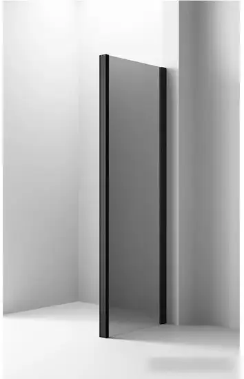 Душевая стенка Ambassador Intense 110x200 110IBB - фото товара