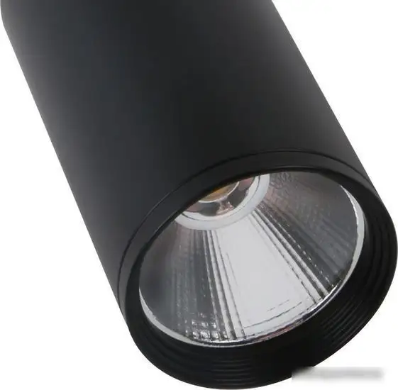 Припотолочная люстра Kinklight Фабио 08570-12,19 – фото товара