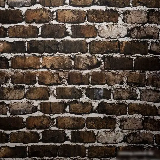 Фон для съемки Falcon Eyes ArtPrint 1521 28734 – фото товара