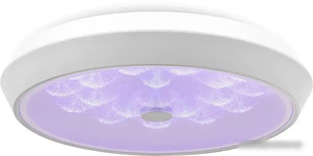 Припотолочная люстра Freya FR10012CL-L24W (белый) – фото товара