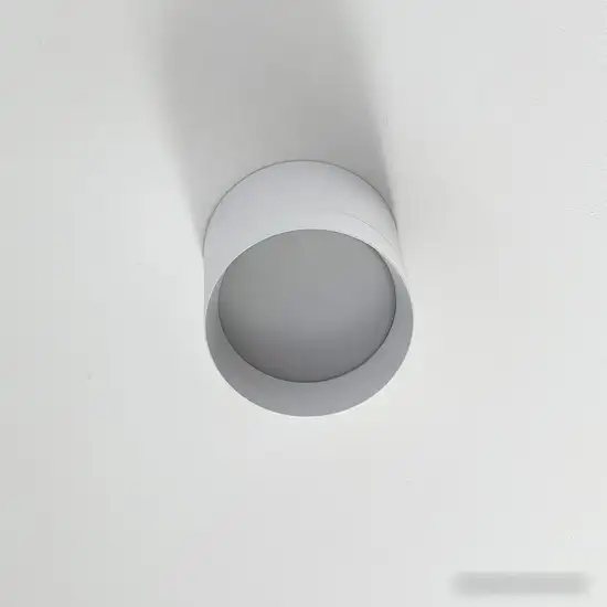 Точечный светильник TruEnergy 21025 – фото товара