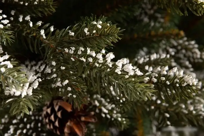 Ель GreenTerra Квебек 1.8 м – фото товара