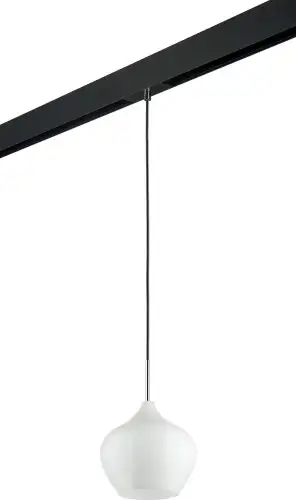 Трековый светильник Lightstar Pentola PRO803040 – изображение в каталоге