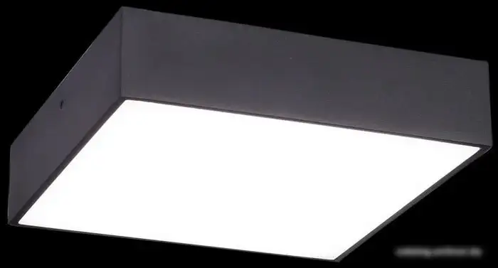 Точечный светильник Citilux Тао CL712X182N – фото товара