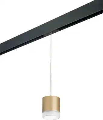 Трековый светильник Lightstar Rullo PRORP349080 – изображение в каталоге