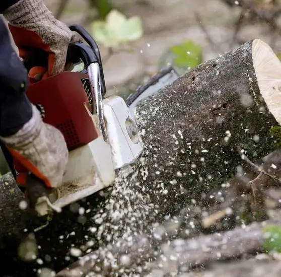 Бензопила Oasis GS-18 – фото товара