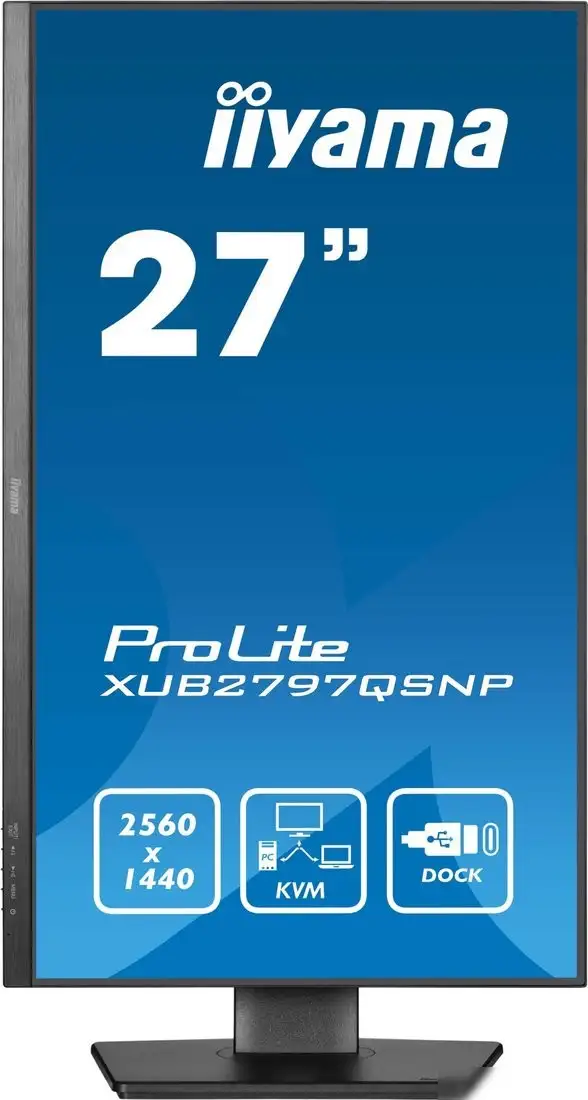 Монитор Iiyama ProLite XUB2797QSNP-B1 – фото товара