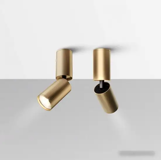 Точечный светильник Maytoni FOCUS S C051CL-01G – фото товара