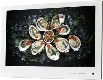 AVEL AVS240WS (белый) – изображение в каталоге