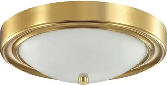 Припотолочная люстра Lumion Nina 5259/2C – изображение в каталоге